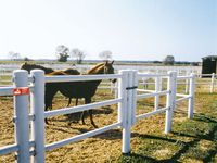 EquiSafe als sichere Einz&auml;ung von Pferden