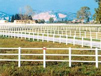 Wei&szlig;er EquiSafe in der Toscana